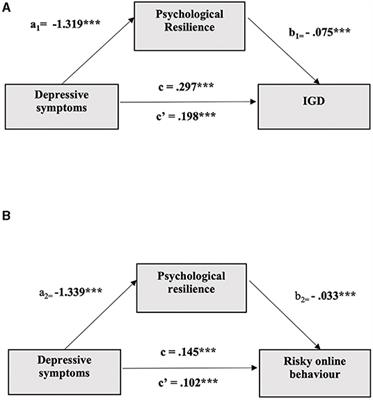 Internet Gaming Disorder, Risky Online Behaviour, and Mental Health in Hong Kong Adolescents: The Beneficial Role of Psychological Resilience